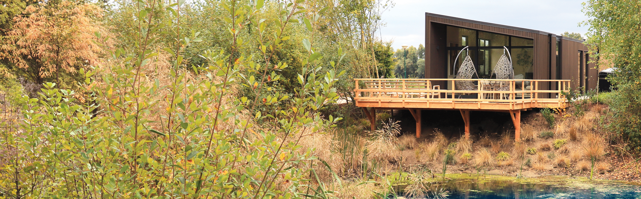 hero-banner-tiny-park_04