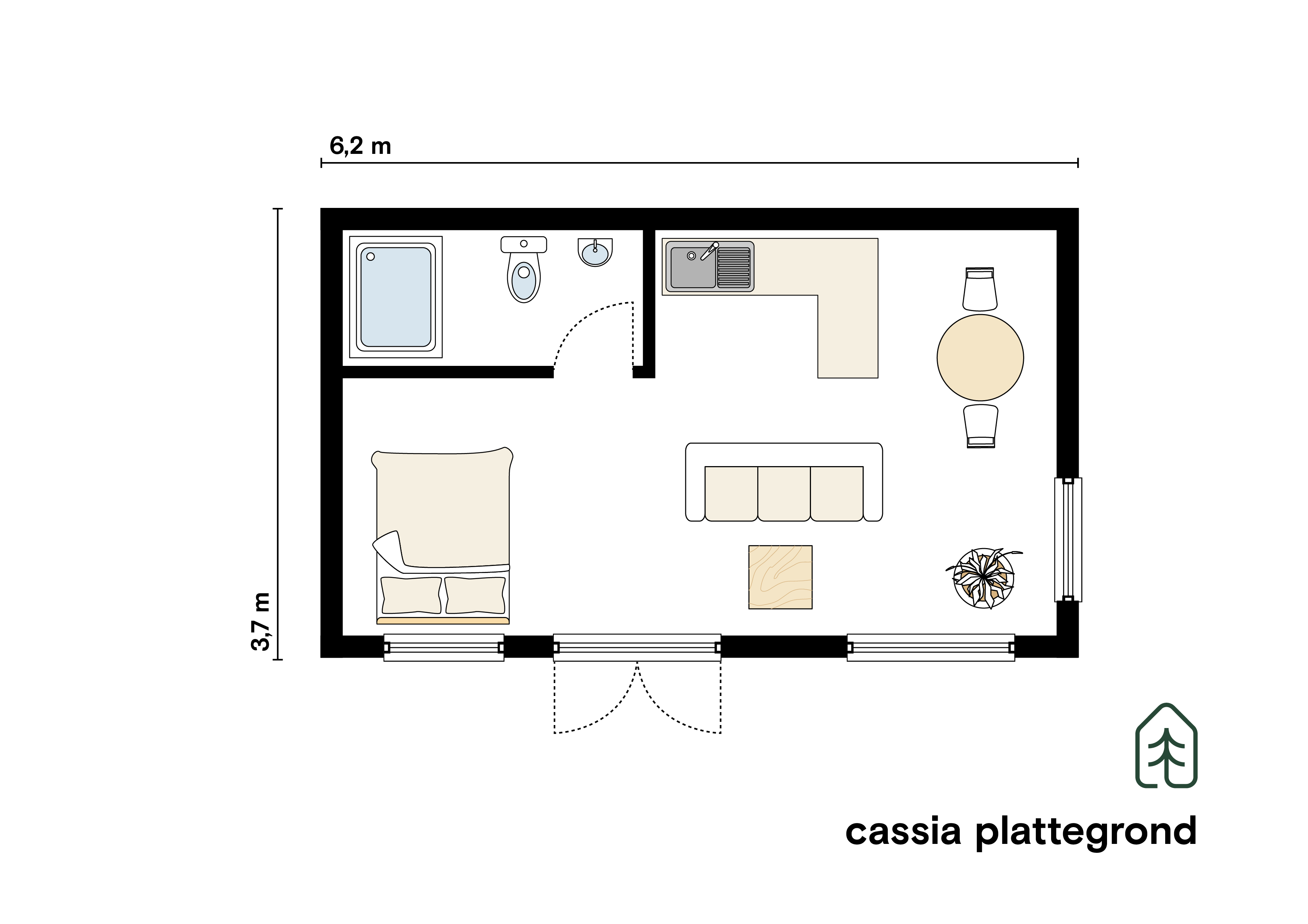 cassia thumbnail 3